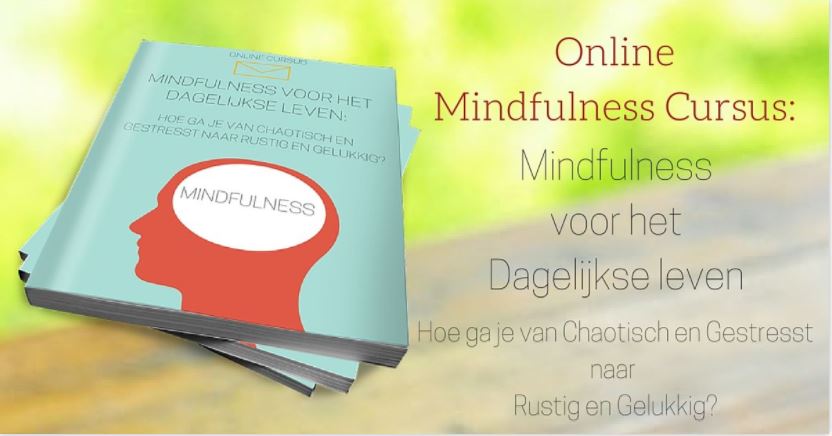 mindfulness voor het dagelijkse leven